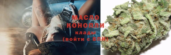 твердый Бородино