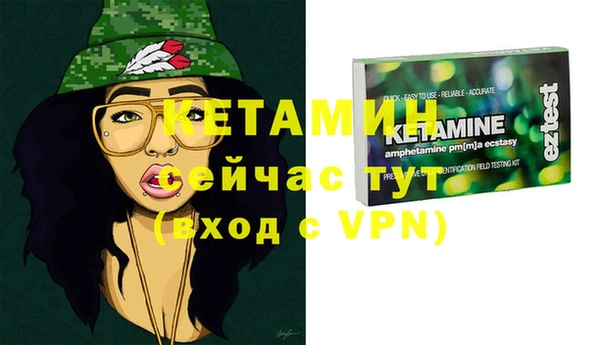 твердый Бородино