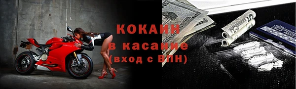 твердый Бородино