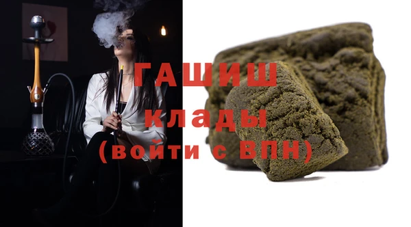 твердый Бородино