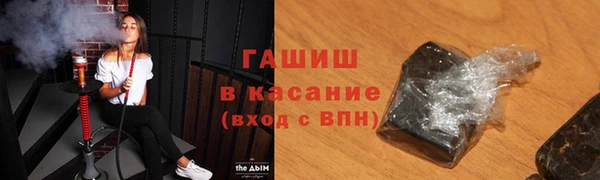 твердый Бородино