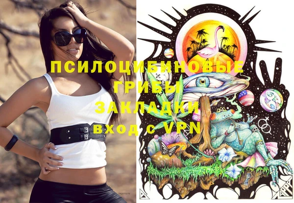 a pvp Бронницы