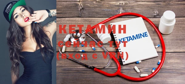 твердый Бородино