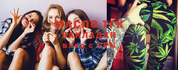 твердый Бородино