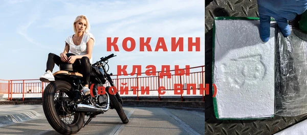 твердый Бородино
