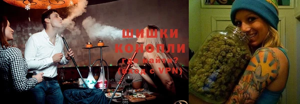 твердый Бородино