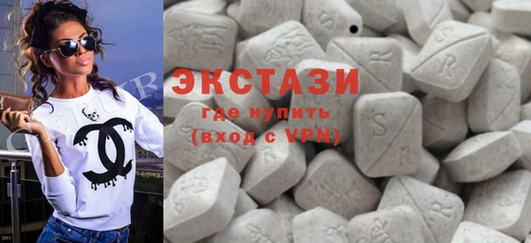 ECSTASY Ельня