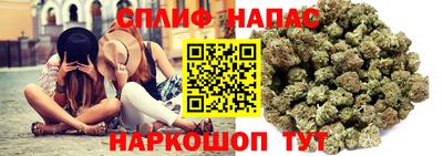 тгк Будённовск