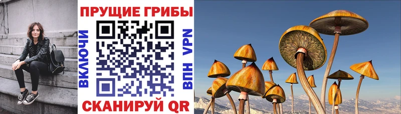 Галлюциногенные грибы MAGIC MUSHROOMS  Буйнакск 