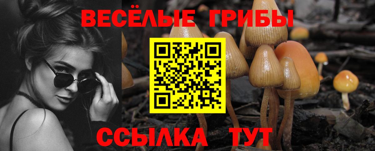 Псилоцибиновые грибы Magic Shrooms  Вход с VPN  хочу   Буйнакск 