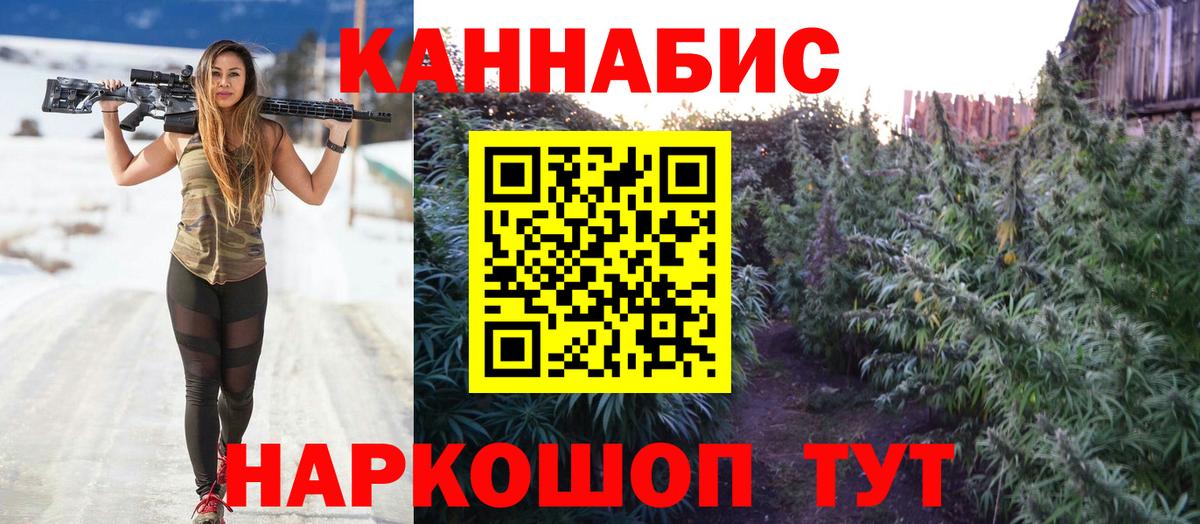 Канабис планчик Буйнакск